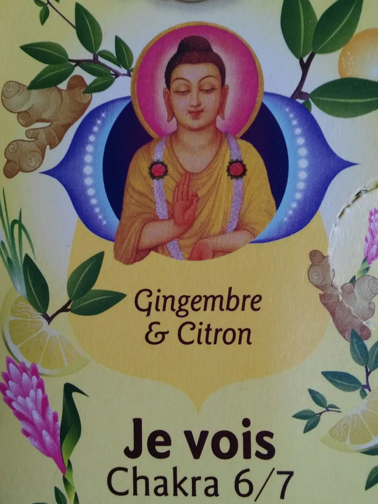 Shoti Maa, Vision
