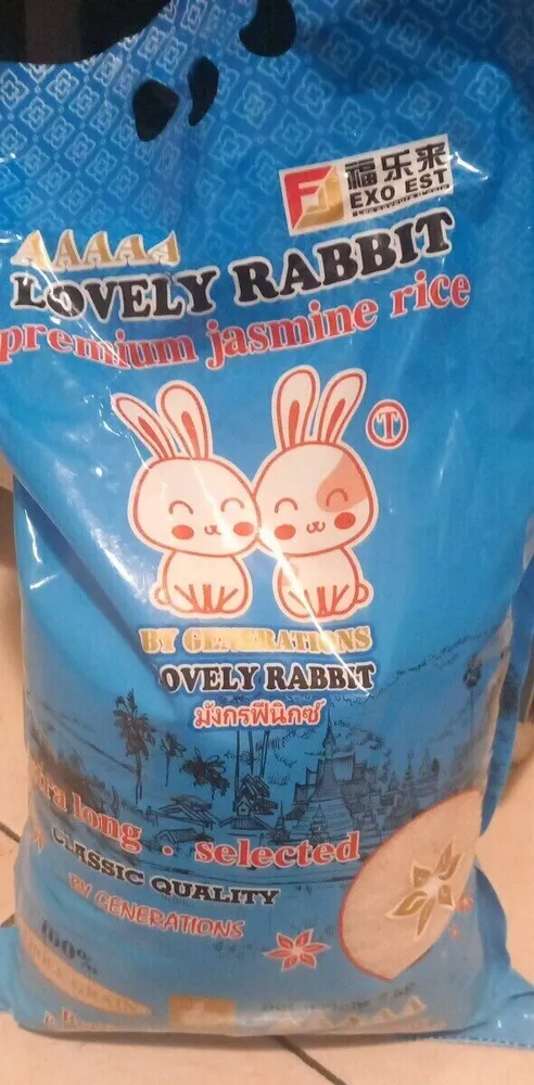 Lovely rabbit