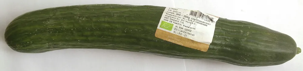 Bio-Gurke