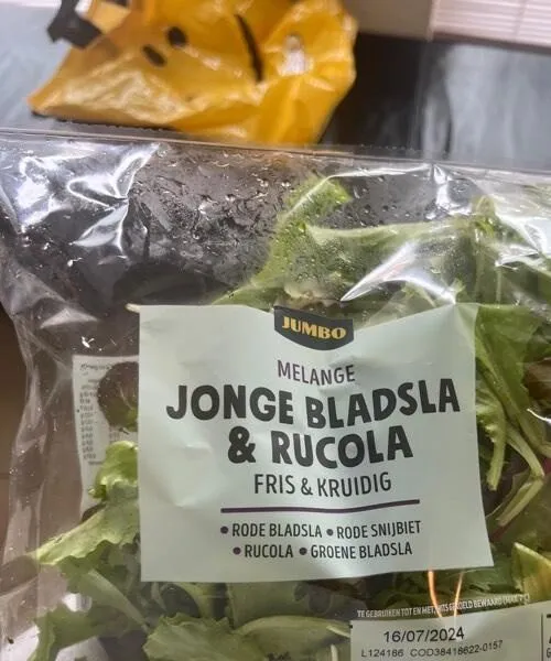 MELANGE JONGE BLADSLA & RUCOLA
