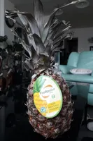 Ananas