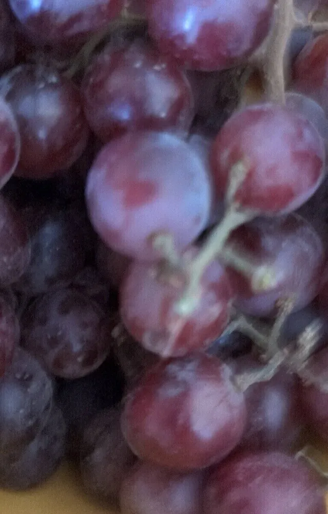 Raisin rosé sans pépin