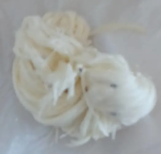 Fromage tressé fin