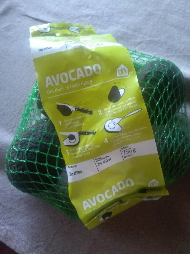 Avocado