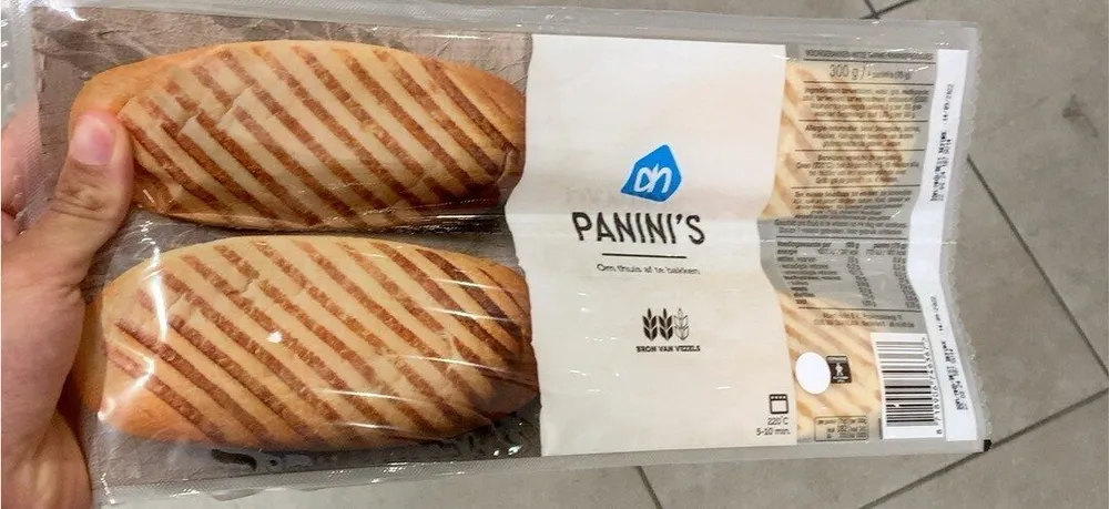 Panini