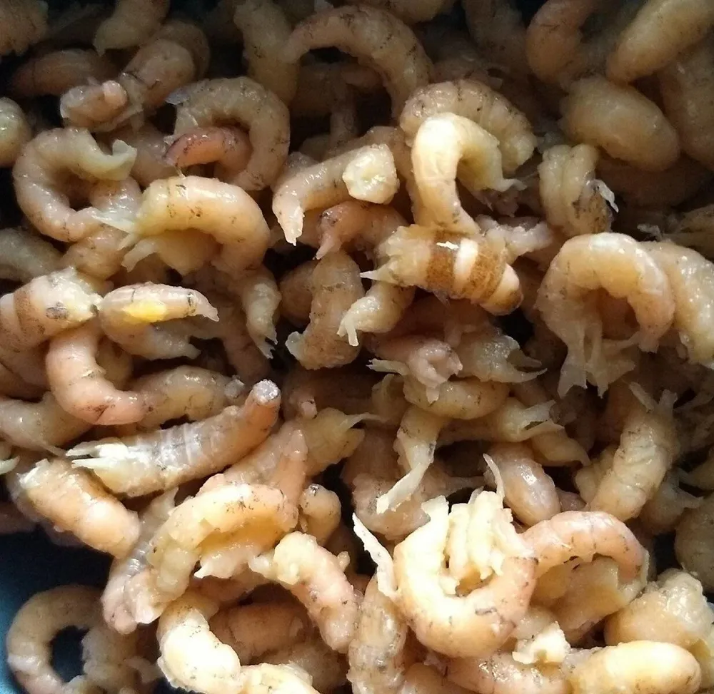 Gekookte en gepelde garnalen
