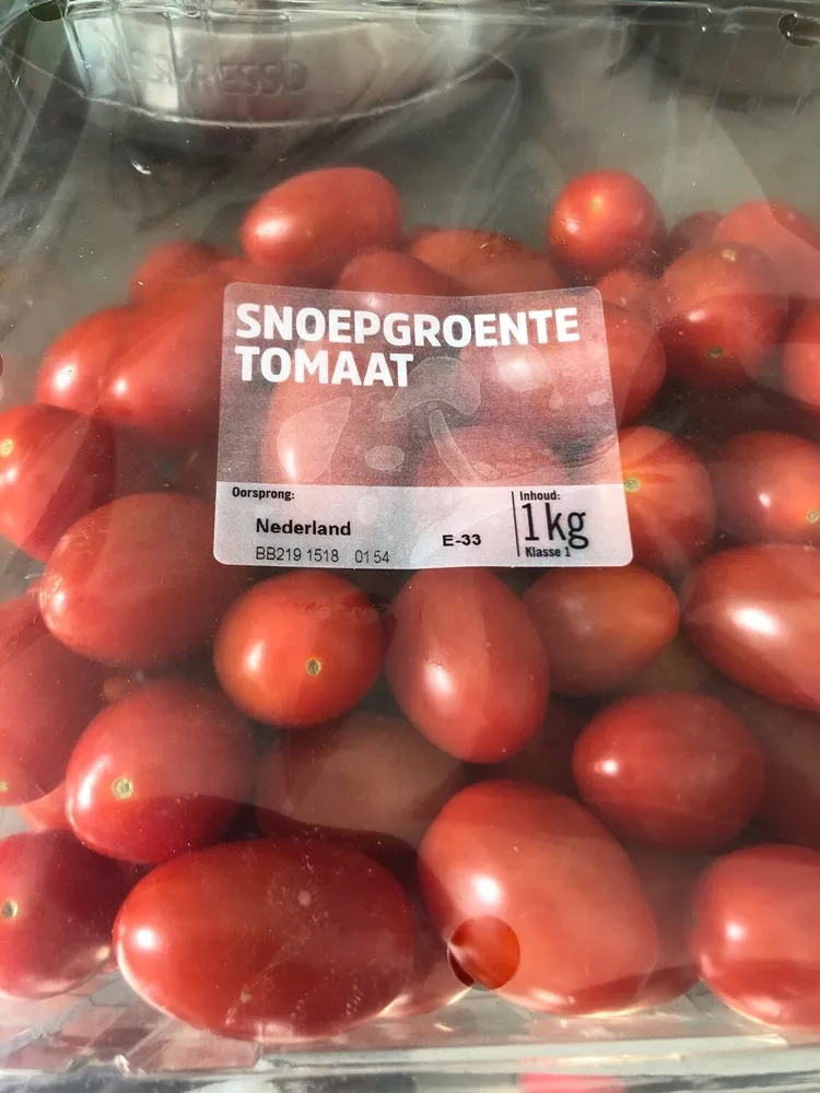 Tomaat