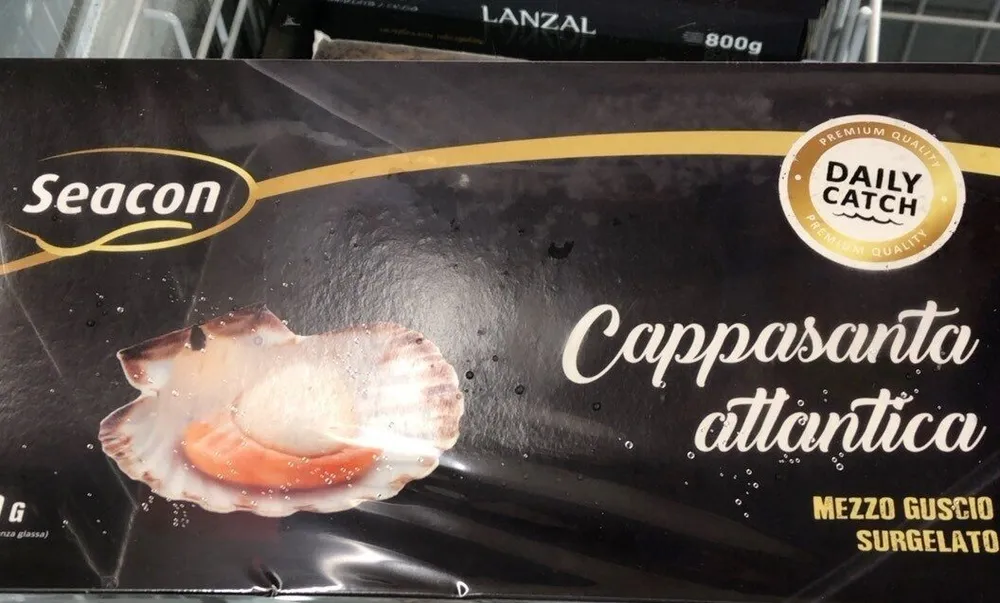 Cappasanta atlantica mezzo guscio