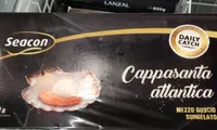 Cappasanta atlantica mezzo guscio