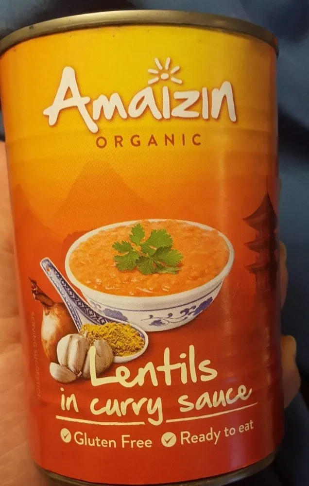 Lentils in curry sauce