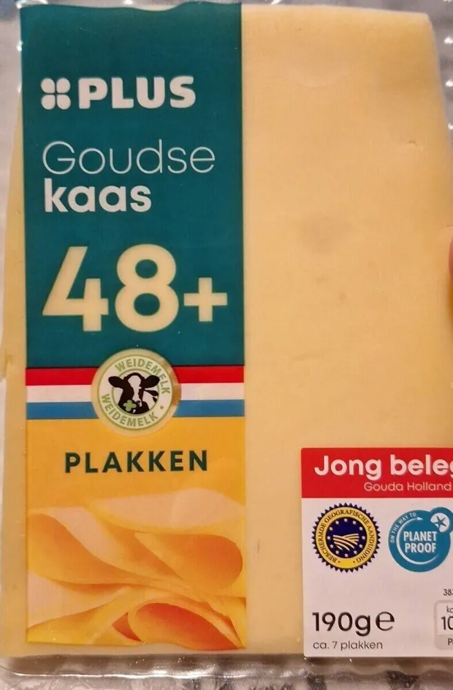 Jong belegen Goudse kaas 48+ plakken
