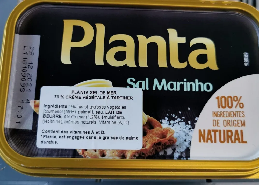 Planta sal marinho