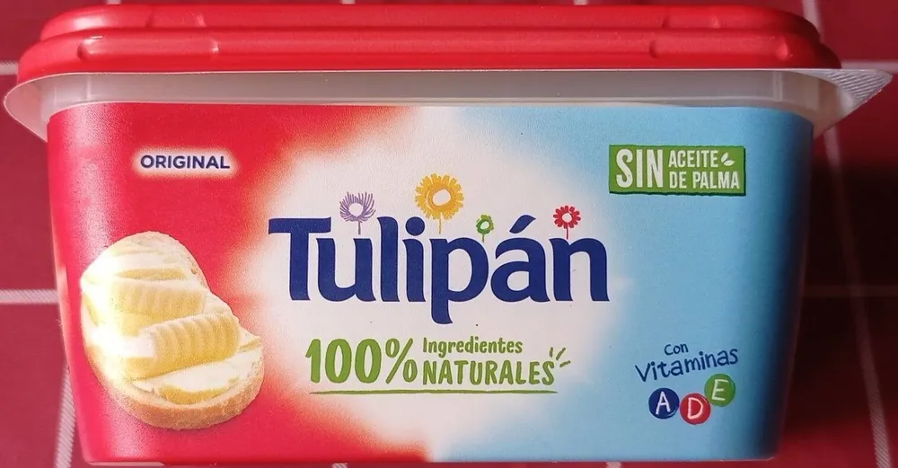 Tulipan