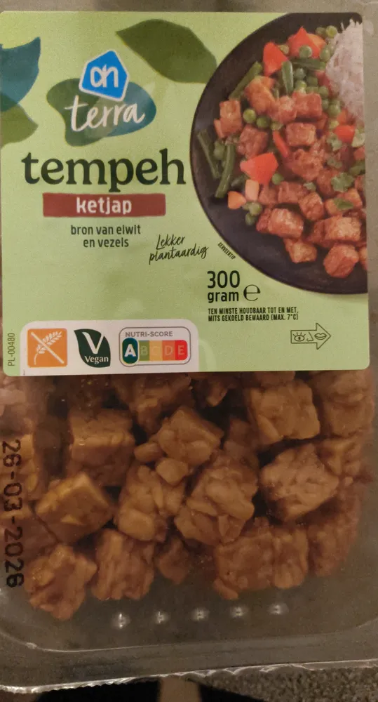 Tempeh Ketjap