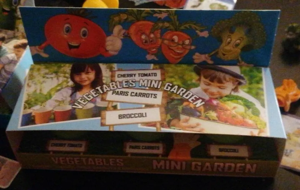 Vegetables mini garden