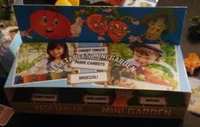 Vegetables mini garden