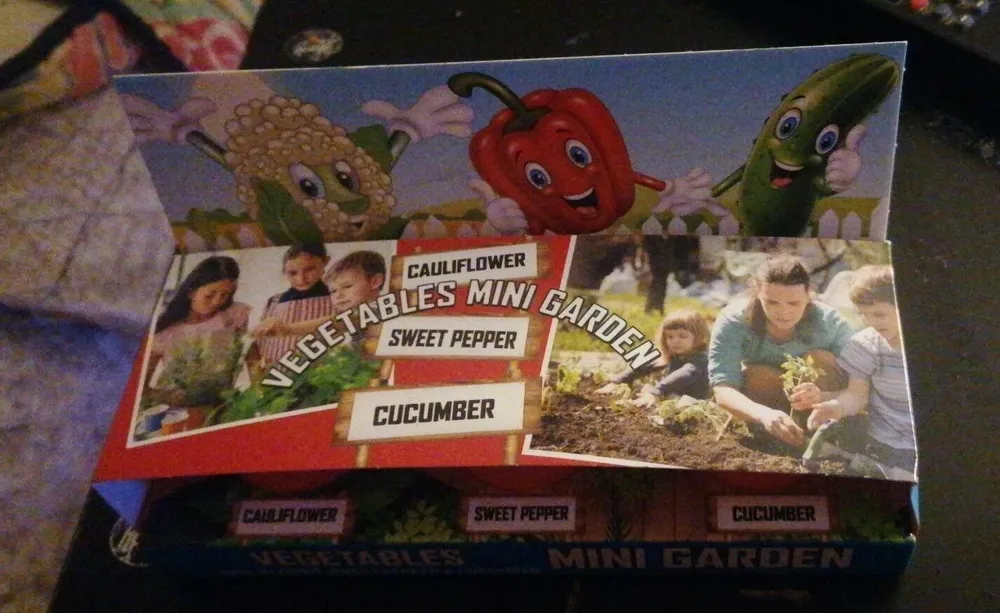 Vegetables mini garden
