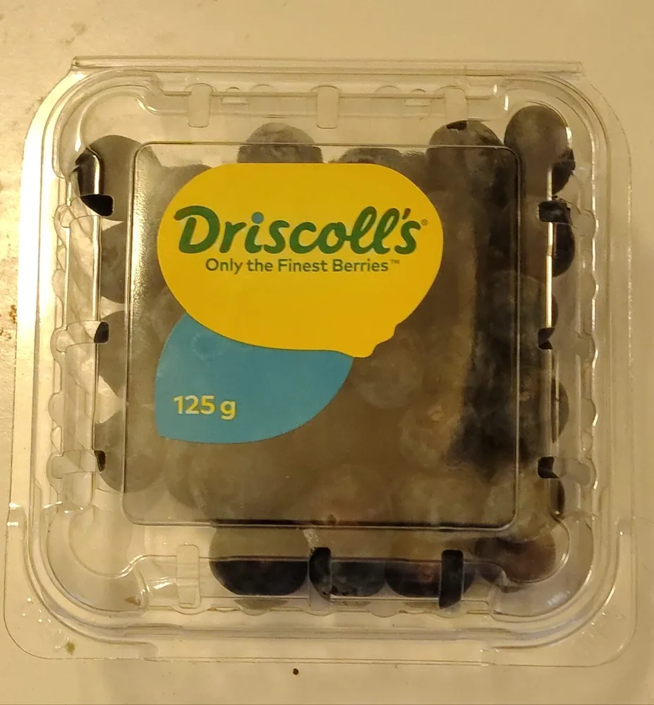 Blueberries