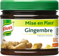 Knorr Mise en place gingembre Pot 340g