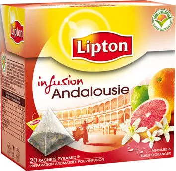 Bte 42G Infusion Andalousie Pyramide Lipton