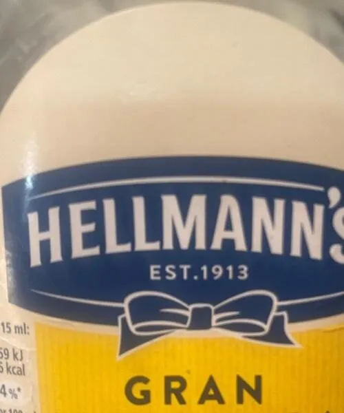 Gran mayonesa hellmanns boca
