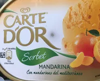 Helado sorbete de mandarinas tarrina