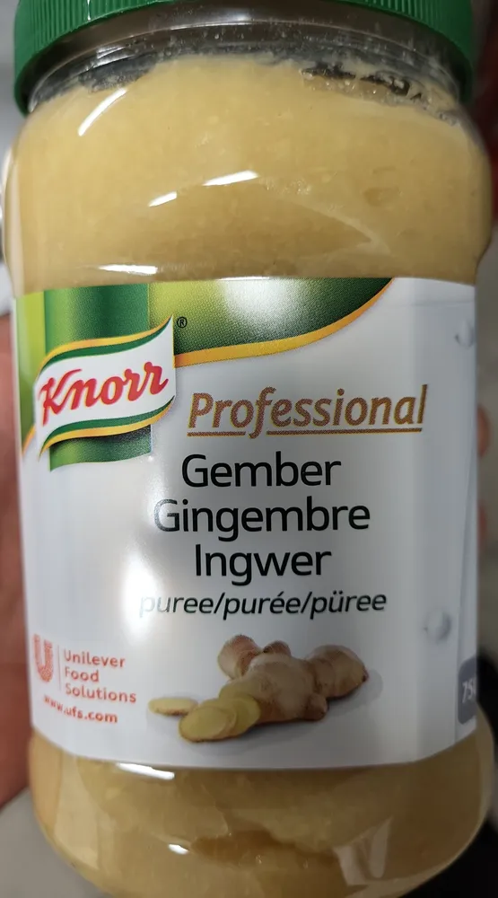 Knorr Professional Purée de Gingembre Pot 750g