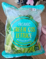 Organic Green Cos Lettuce