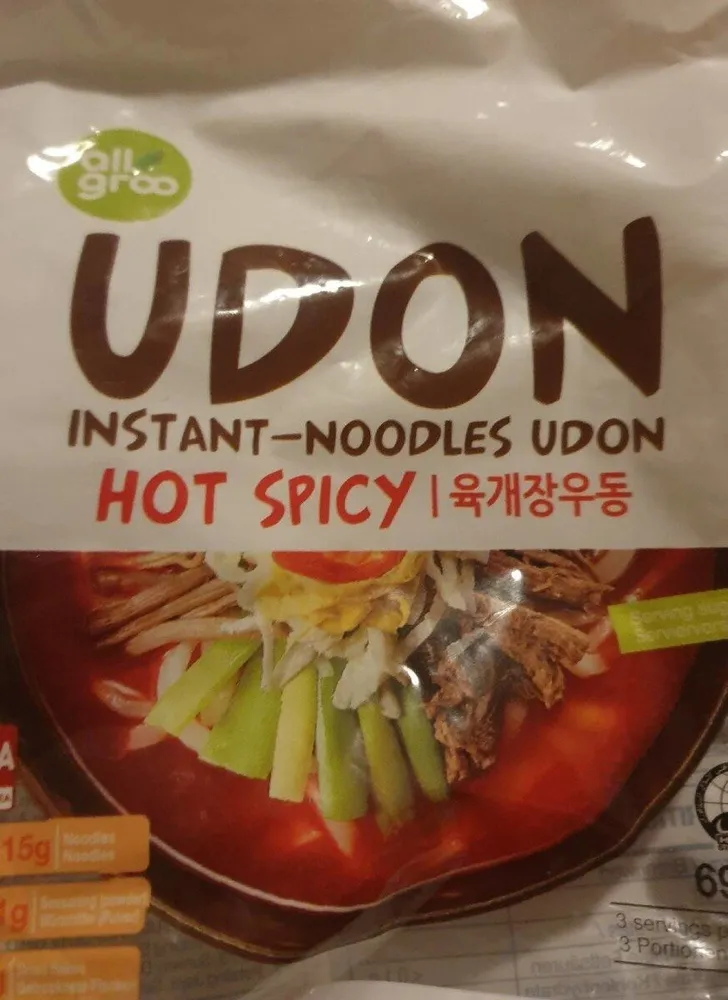 Udon Nudelsuppe