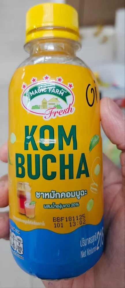 Kombucha