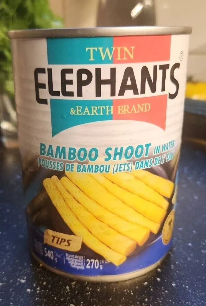 Bamboo Shoot