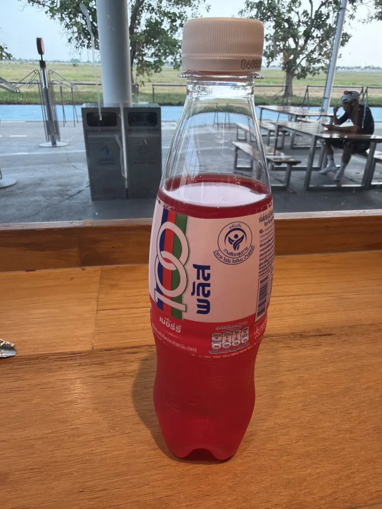 100Plus Berry