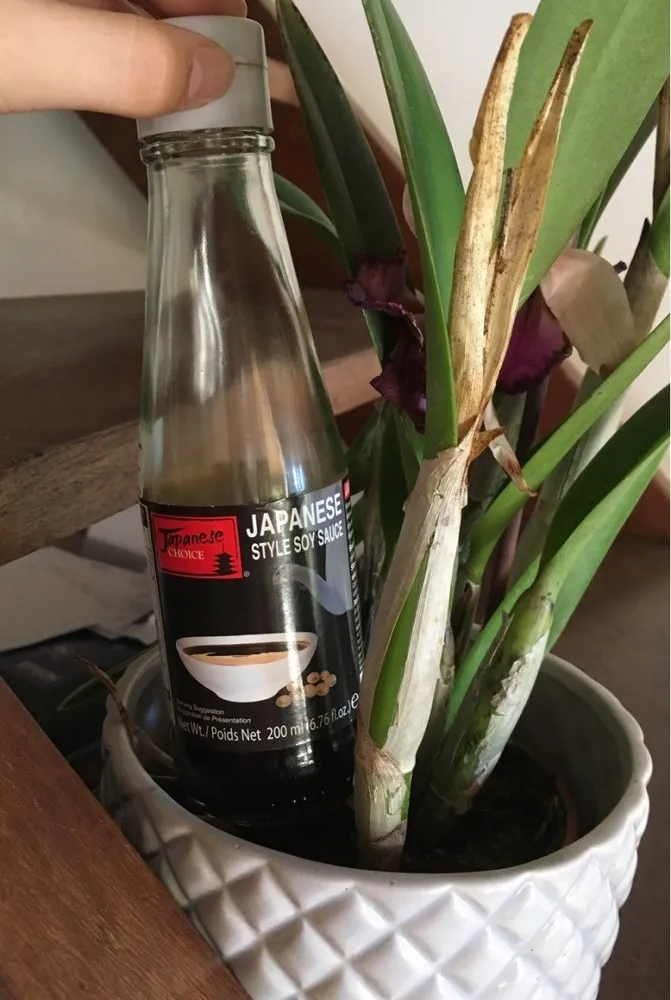 Jadanese Choice Style Soy Sauce -