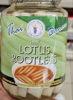 Lotus rootlets