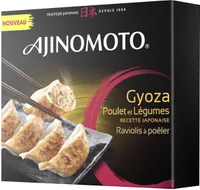 Yakitori Brochettes Poulet