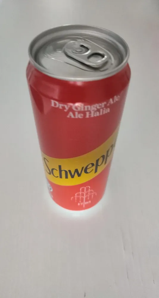 Schweppes Dry Ginger Ale Drink 330ML