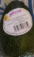 Avocado hass