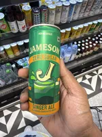 Ginger Ale (Zero Sugar)