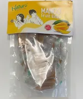 Mango Fruits Bites