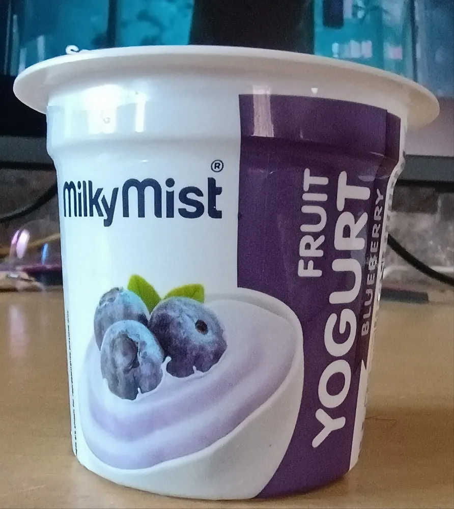 Fruit Yogurt Blueberry