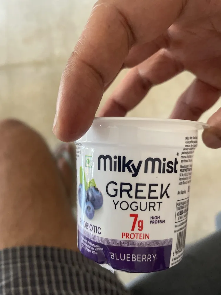 Blueberry Greek Yogurt