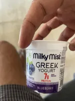 Blueberry Greek Yogurt
