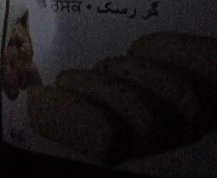 Gur rusk