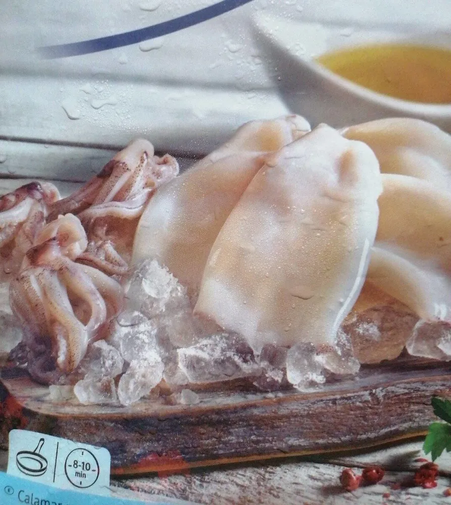 Calamar patagónico