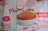 PlumCake senza lattosio Doemi