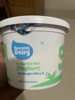 fermented milk yoghurt