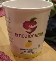 Sorbetto biologico al limone