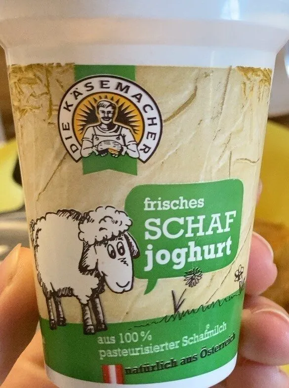 Schaf Joghurt