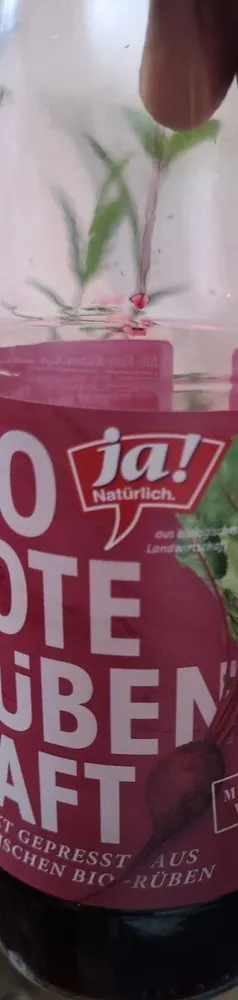 Bio Rote RUBEN SAFT