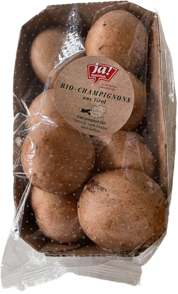 Bio-Champignons